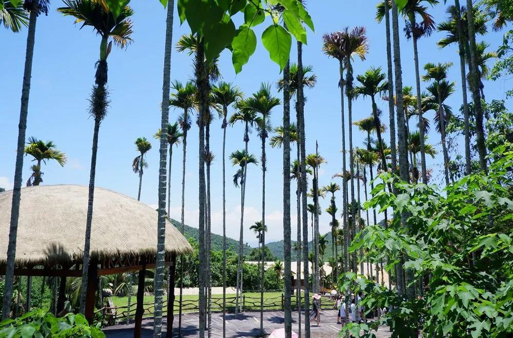 AG九游会国际官网控股集团