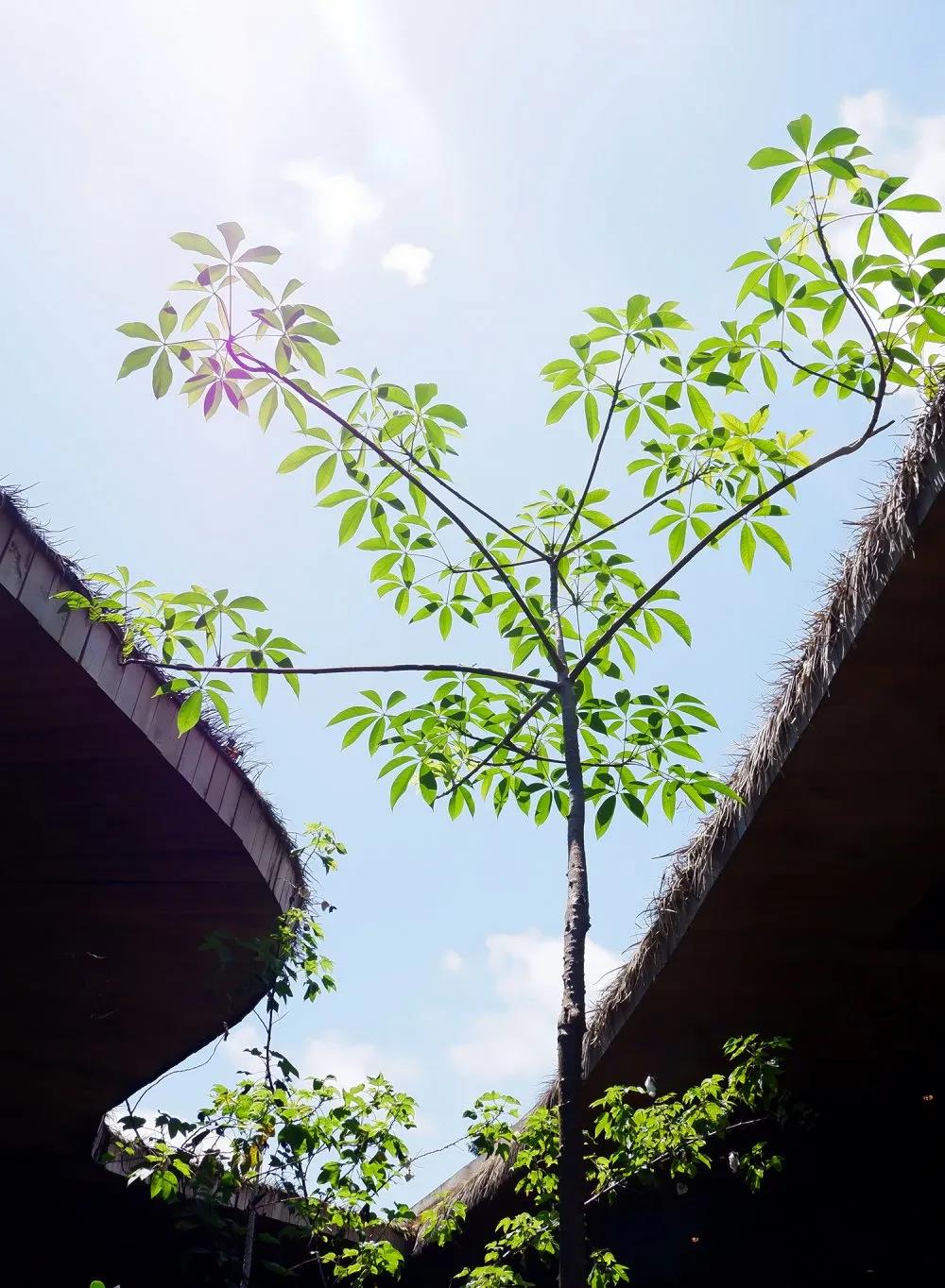 AG九游会国际官网【集团】 - welcome