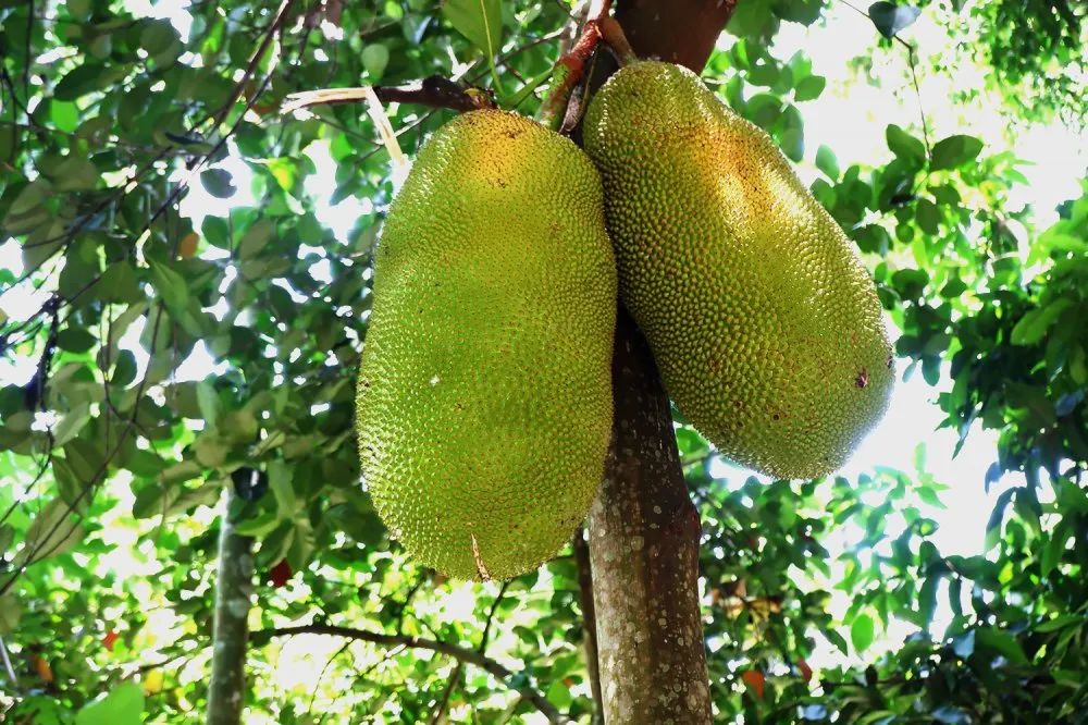 AG九游会国际官网【集团】 - welcome